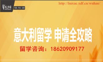 意大利留学全攻略 签证通关技巧与关键信息咨询指南